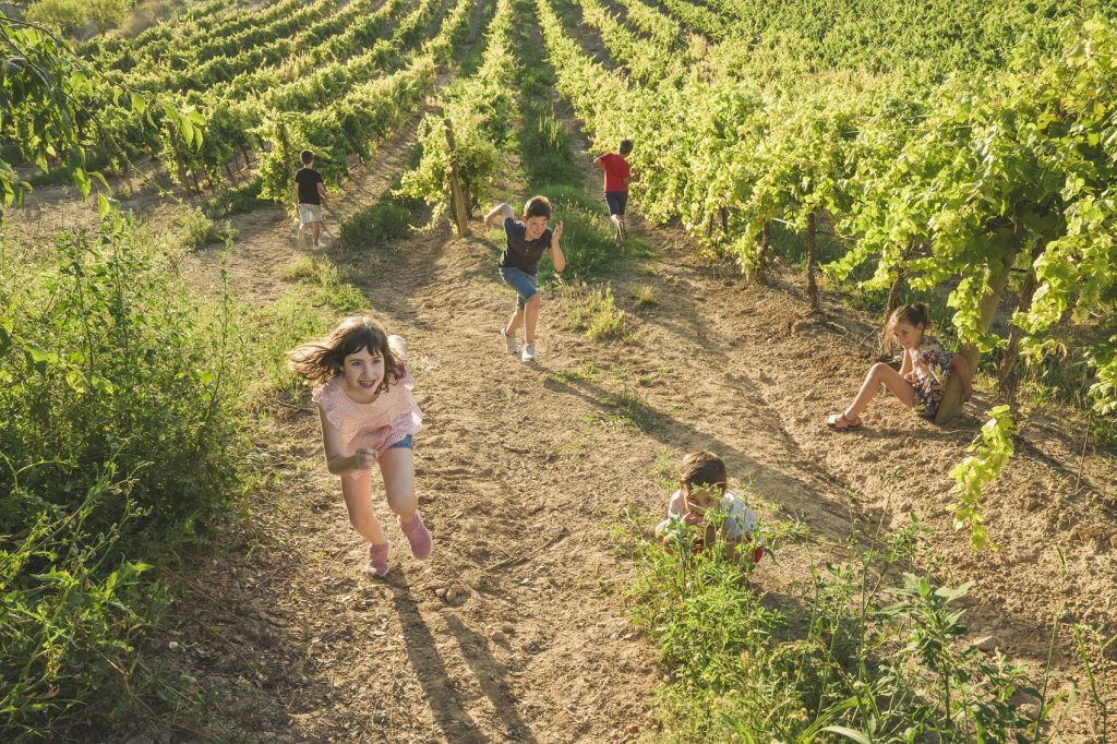 Fotografía archivo Ruta del Vino Somontano, autor Jorge Fuembuena