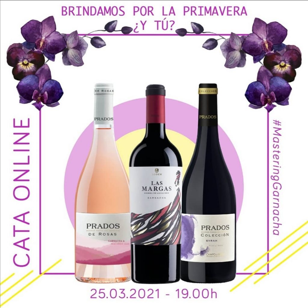Cata online de vinos - Axial Vinos