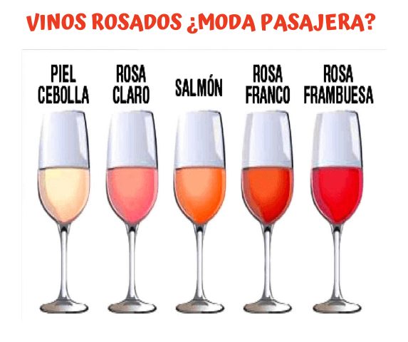 CATA-DE-VINOS-ROSADOS-ZARAGOZA