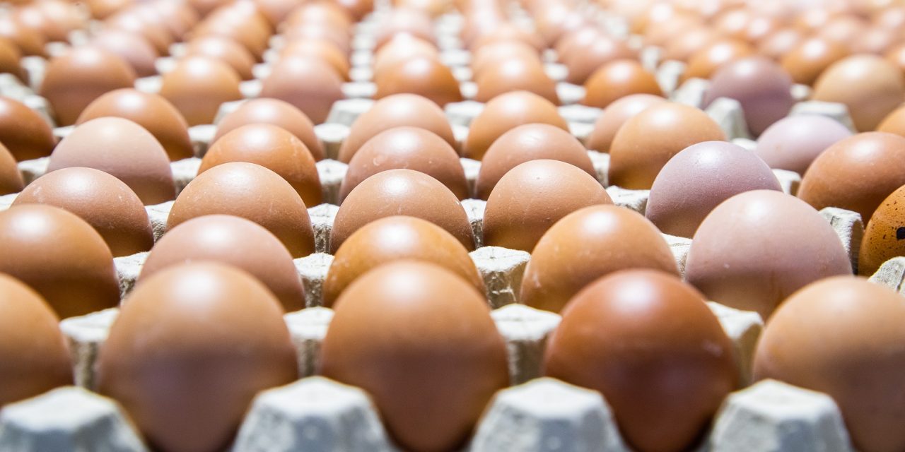 La Industria Alimentaria de Aragón mantiene su pulso exportador en 2025 con el segundo mejor registro de su historia.