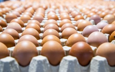 La Industria Alimentaria de Aragón mantiene su pulso exportador en 2025 con el segundo mejor registro de su historia.