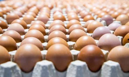 La Industria Alimentaria de Aragón mantiene su pulso exportador en 2025 con el segundo mejor registro de su historia.