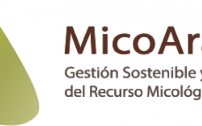 Nace MicoAragón, para la gestión de los recursos micológicos en la Comunidad