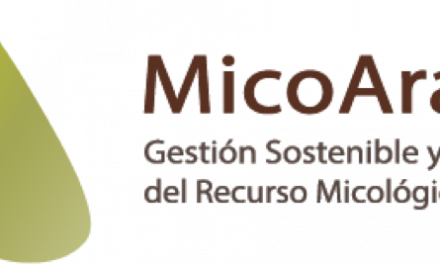 Nace MicoAragón, para la gestión de los recursos micológicos en la Comunidad