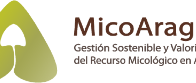 Nace MicoAragón, para la gestión de los recursos micológicos en la Comunidad