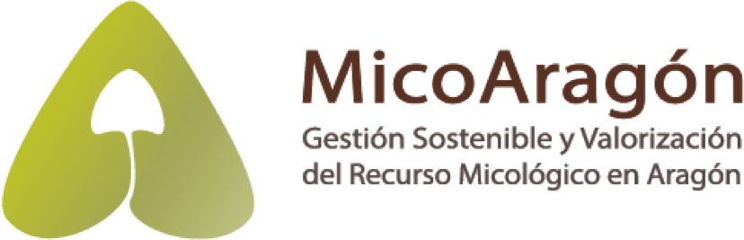 Nace MicoAragón, para la gestión de los recursos micológicos en la Comunidad