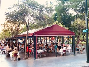 Beerland terraza