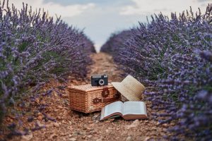 LAVANDA Nastarusova bodegón 3º premio