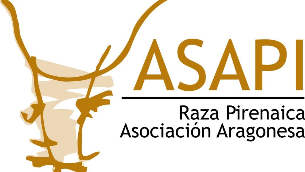 Logo asapi