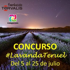 2021 cartel concuros lavanda