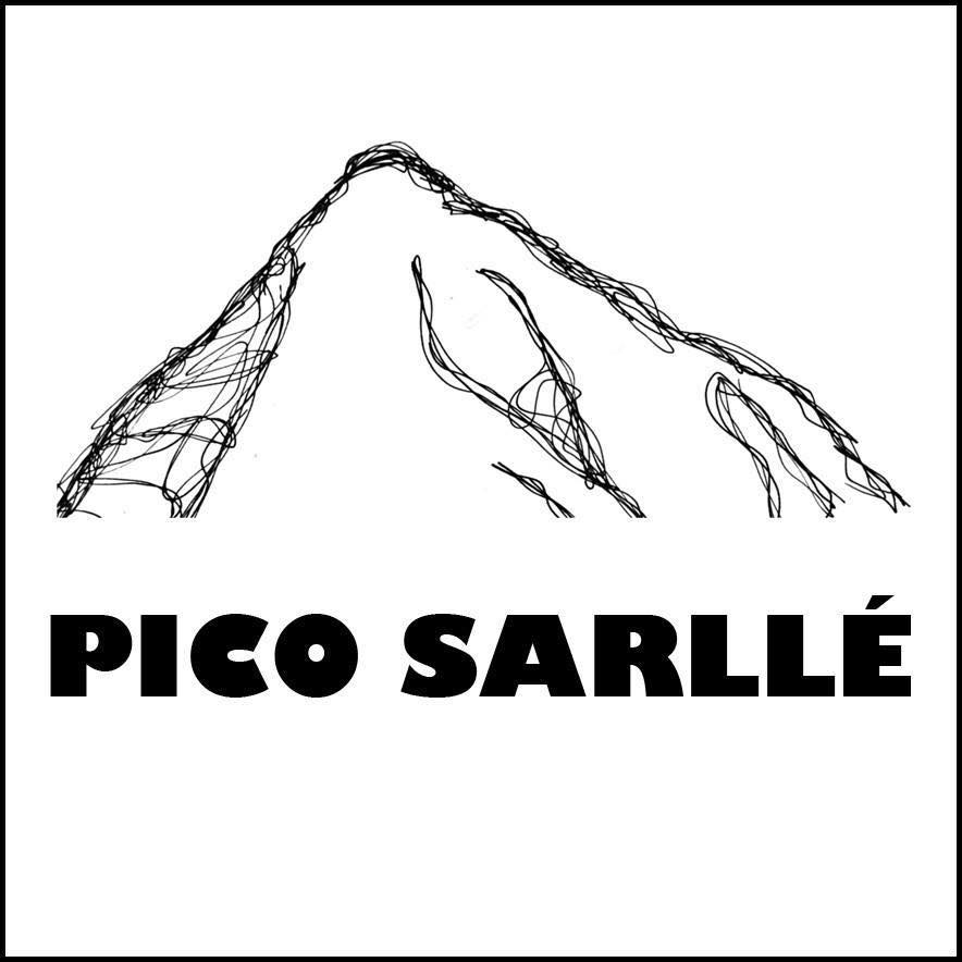 Pico Sarlle logo