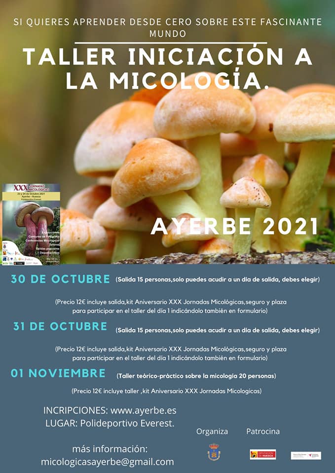 Taller de iniciación a la micología Ayerbe