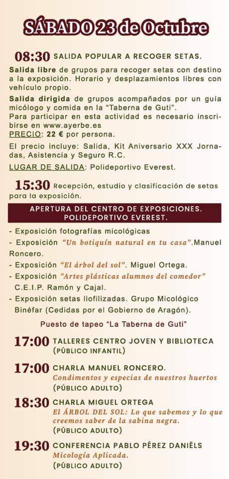 jornadas micológicas Ayerbe