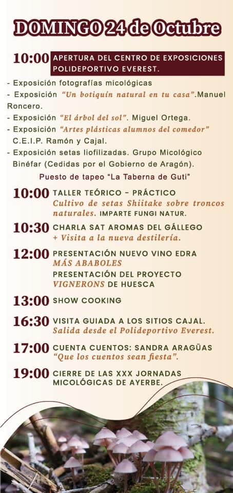 jornadas micológicas Ayerbe