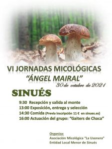 30-oct jornadas micologicas Sinués 1