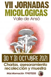 oct-30 anso