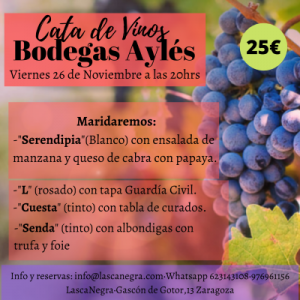 CatadeVinosBodegasAyles26Nov20hrs