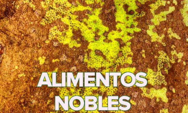 Revista Gastro Aragón 84: Alimentos nobles