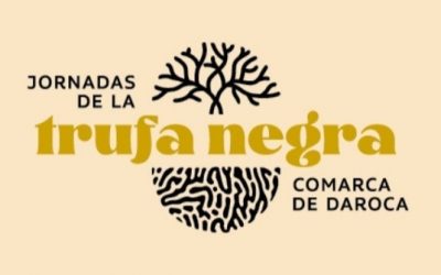 Las Jornadas de la Trufa Negra de la Comarca de Daroca se internacionalizan con la participación de reconocidos expertos procedentes de la región italiana de Piamonte