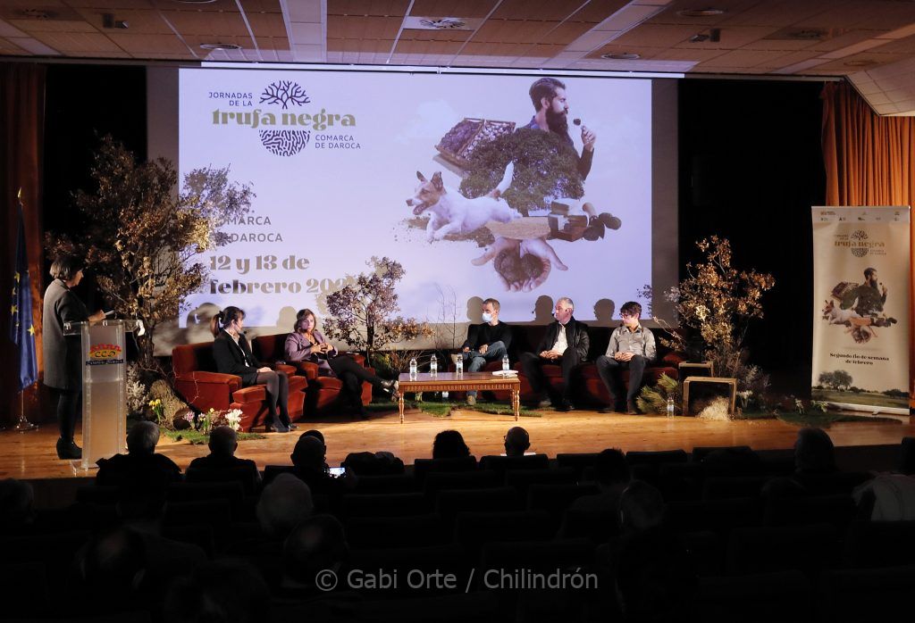 Mesa redonda jornadas técnicas Daroca