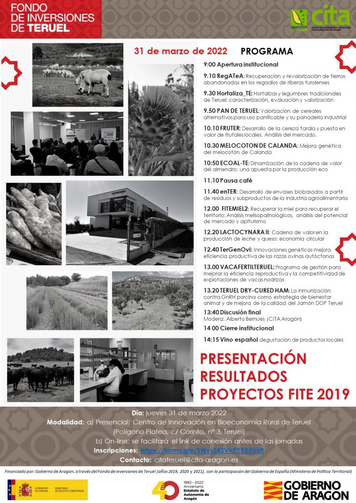 31-marzo cita fite