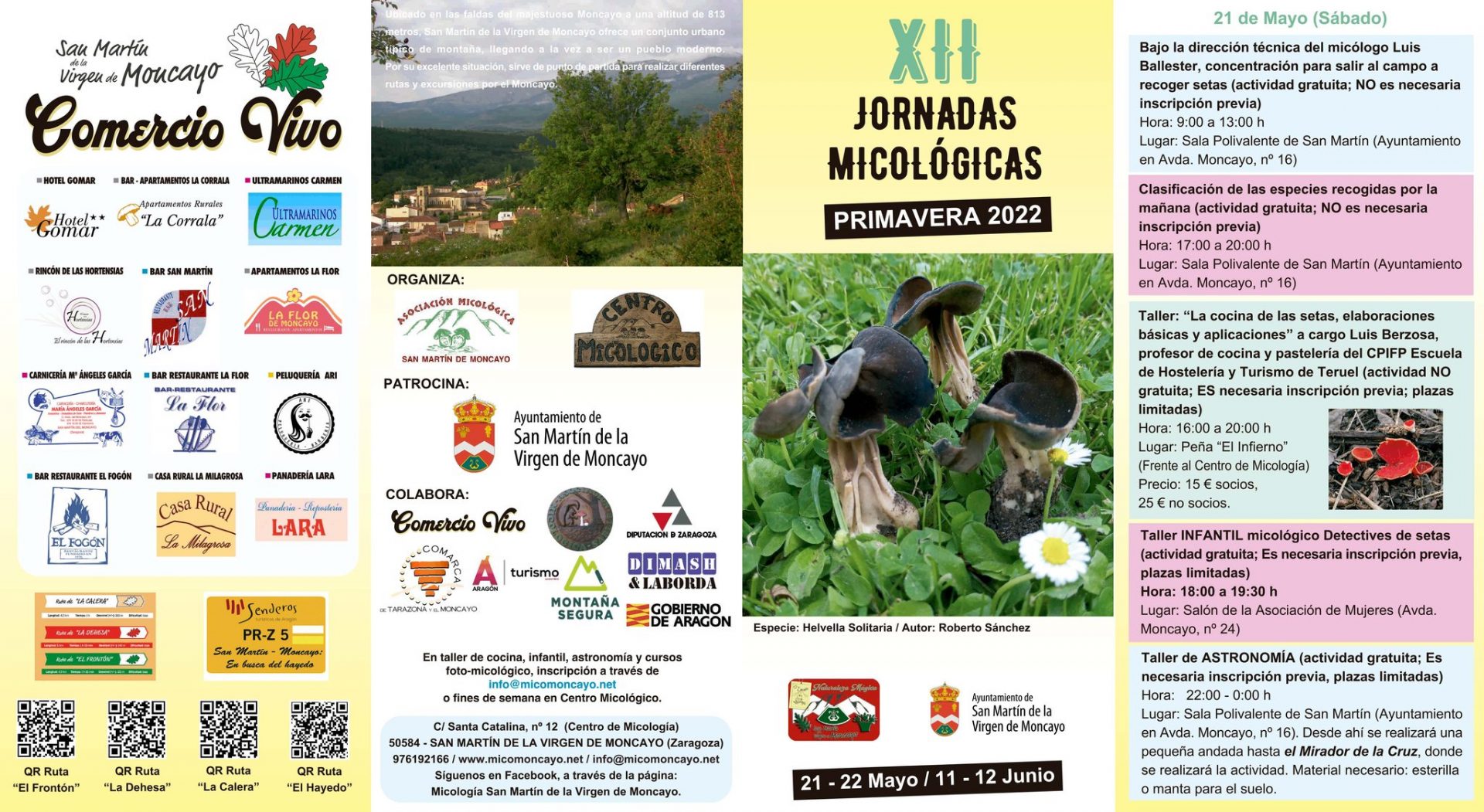 XII Jornadas Micológicas Primavera 2022