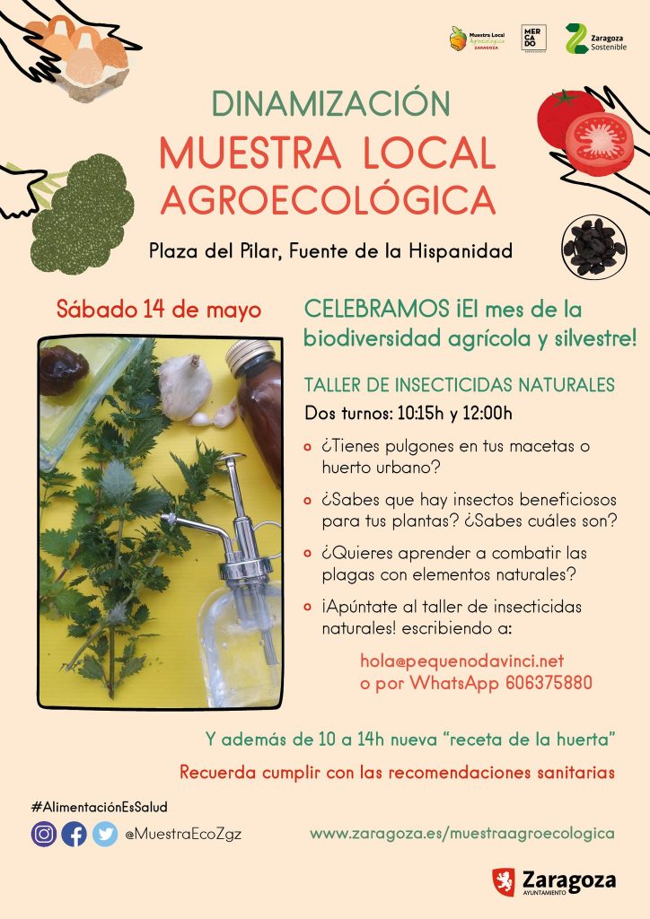 Actividades Muestra Agroecológica 