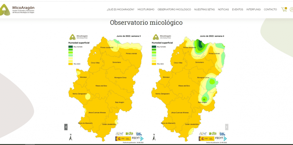 Interfungi mapa