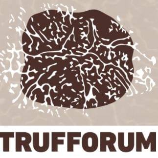 Truforum logo