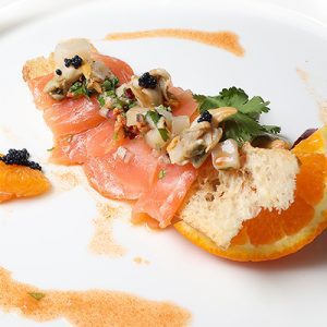 gastrotapa 22 Meli Tubo