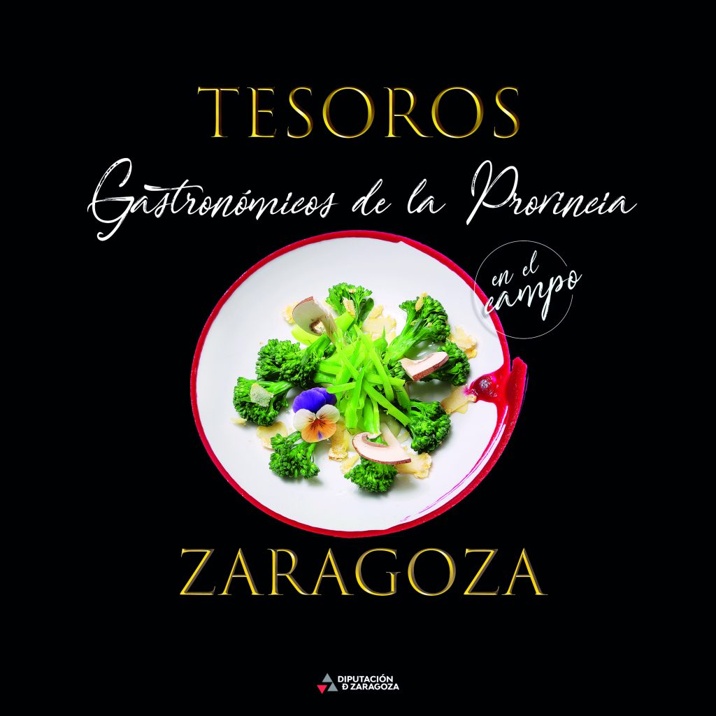 TESOROS GASTRONOMICOS DE LA PROVINCIA DE ZARAGOZA, EN EL CAMPO__PORTADA