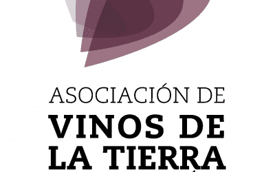 VINOS DE LA TIERRA. La Bodegaza tinto 2021
