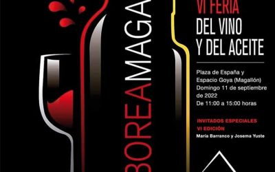 Éxito de la séptima edición de Saborea Magallón