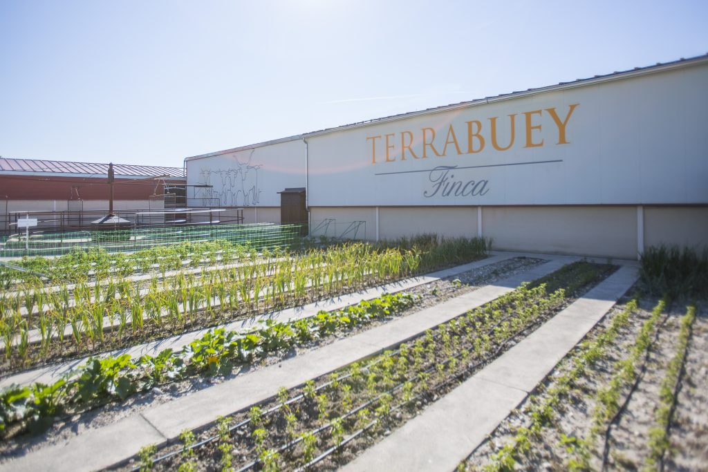 ECO Finca Terrabuey huerto