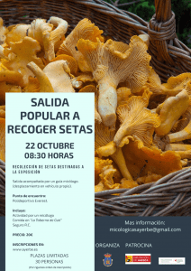 oct Ayerbe setas 1