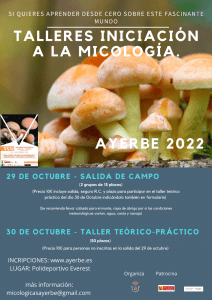 oct Ayerbe setas 2