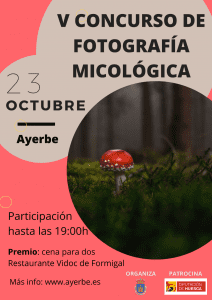 oct Ayerbe setas 3