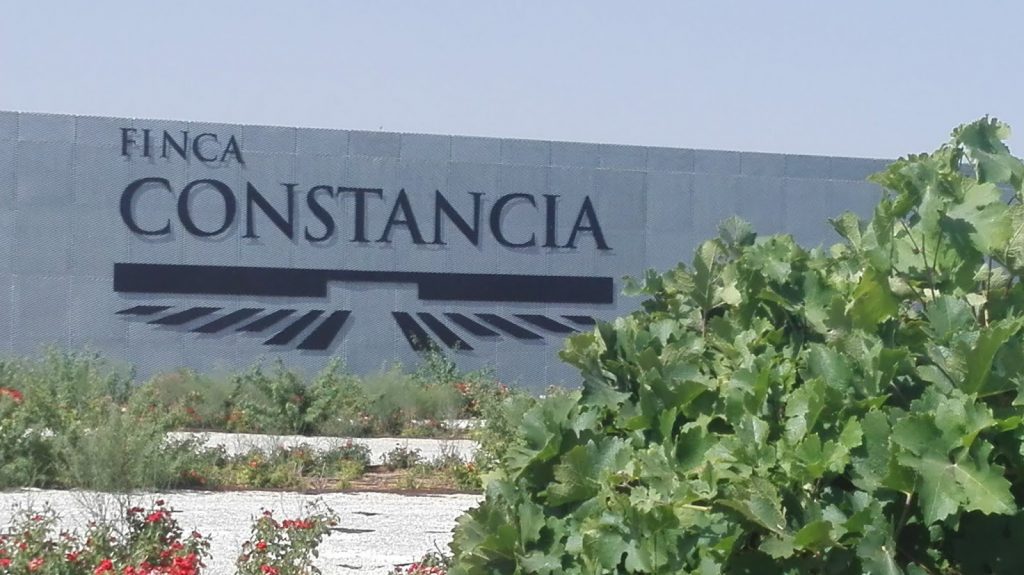 VIN ENO Constancia bodega