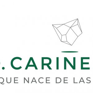 Nuevo logo DOP Cariñena