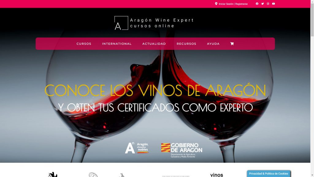 VIN WINEXPERT