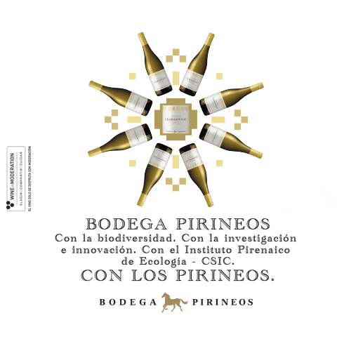 BODEGA PIRINEOS