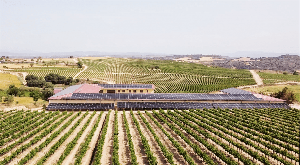 placas-fotovoltaicas-bodega-sommos