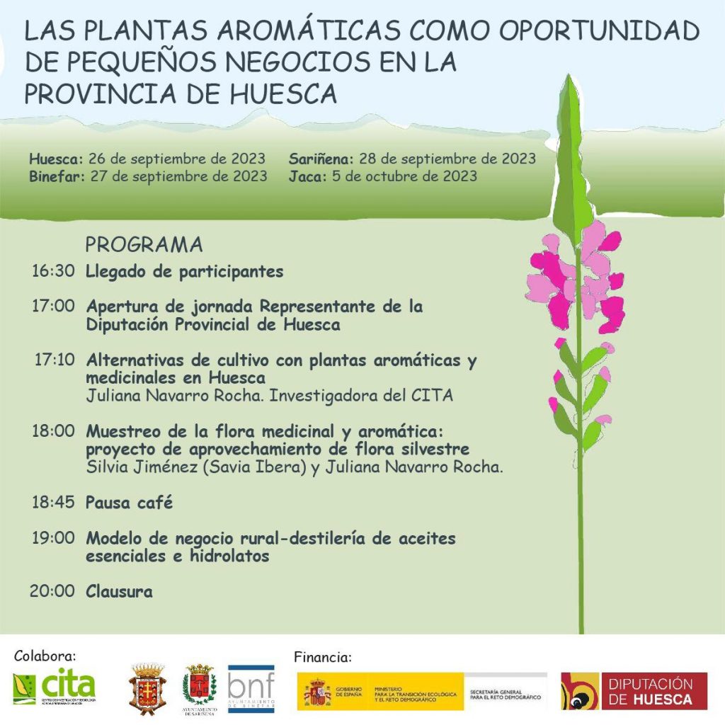 DPH 2023 talleres