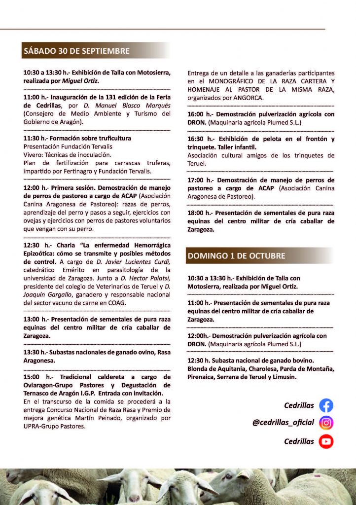 Feria Cedrillas_Página_3