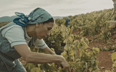 Arranca el rodaje de ‘Cariñena, vino del mar’, de Javier Calvo