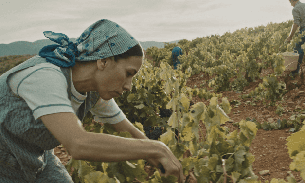 Arranca el rodaje de ‘Cariñena, vino del mar’, de Javier Calvo