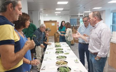 Las vainas casi extintas de Aragón