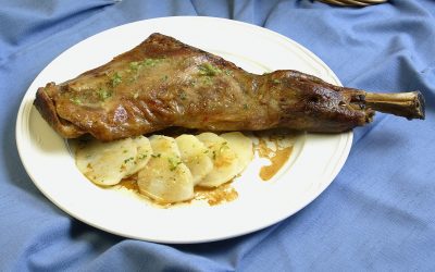Pal Pilar