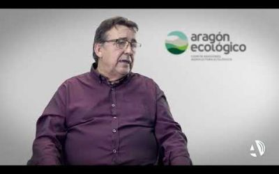 ‘Por una certificación pública’. Es la principal reivindicación de la candidatura DIVERSIDAD DE PRODUCCIONES EN IGUALDAD DE CONDICIONES
