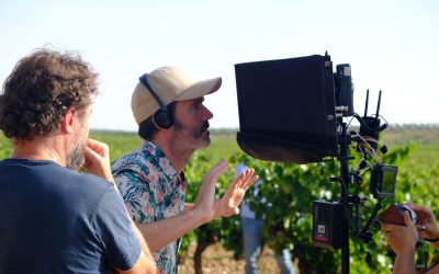 La DOP Cariñena reivindica la singularidad de sus vinos su nueva campaña